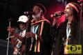 The Viceroys (Jam) 20. Reggae Jam Festival - Bersenbrueck 02. August 2014 (11).JPG